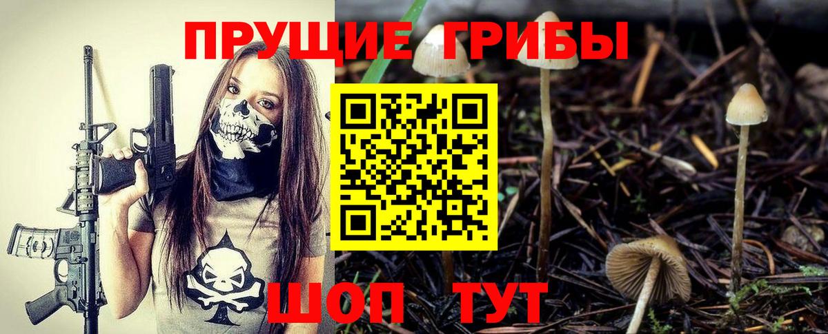 Псилоцибиновые грибы Magic Shrooms Ейск