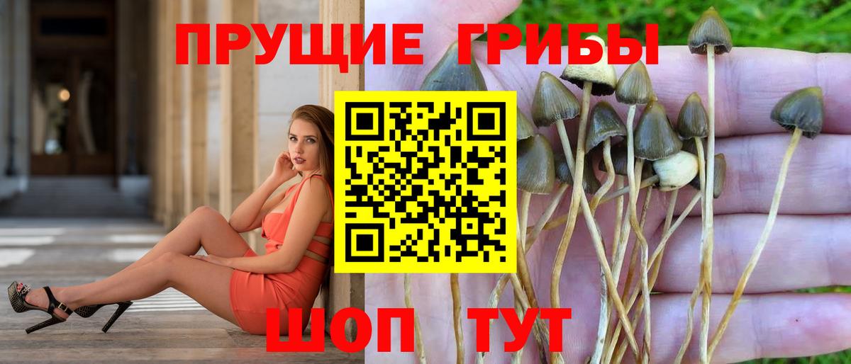 купить   Псилоцибиновые грибы мухоморы  Вход с VPN  Ейск  Псилоцибиновые грибы ЛСД 